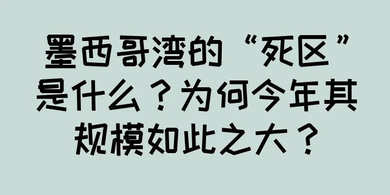 墨西哥湾的“死区”是什么？为何今年其规模如此之大？