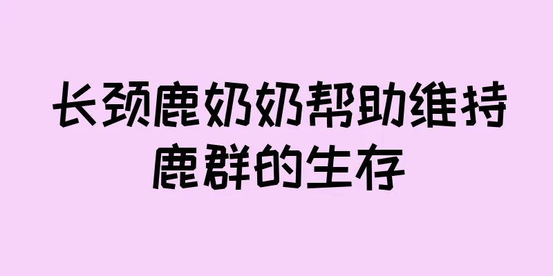 长颈鹿奶奶帮助维持鹿群的生存