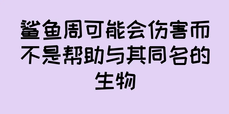 鲨鱼周可能会伤害而不是帮助与其同名的生物