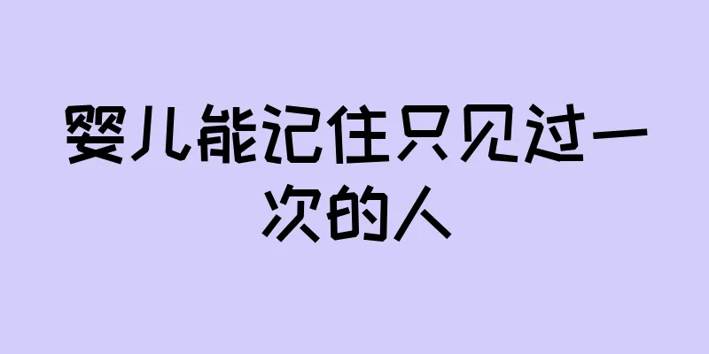 婴儿能记住只见过一次的人
