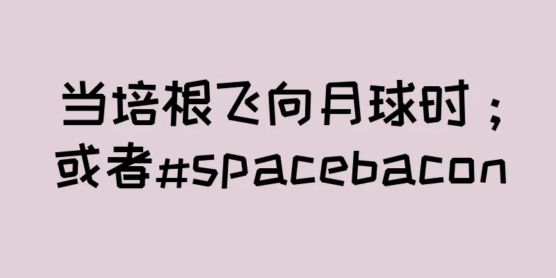 当培根飞向月球时；或者#spacebacon