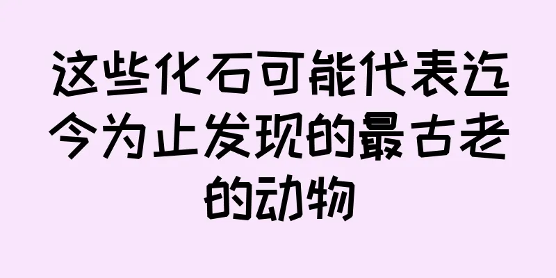 这些化石可能代表迄今为止发现的最古老的动物