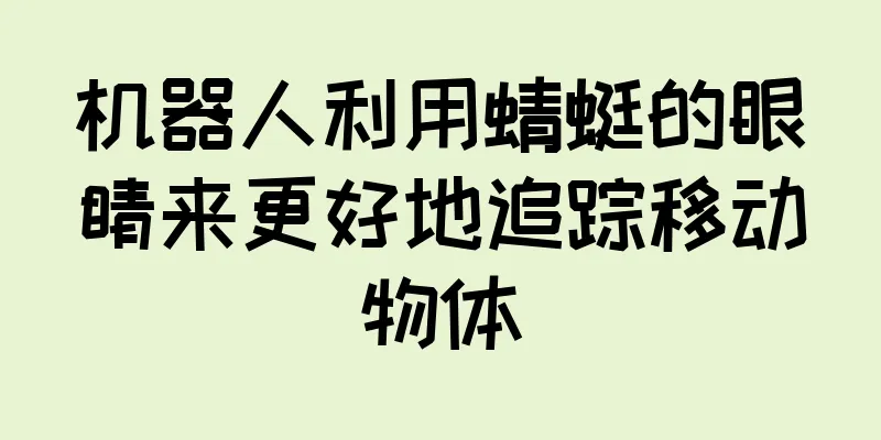 机器人利用蜻蜓的眼睛来更好地追踪移动物体