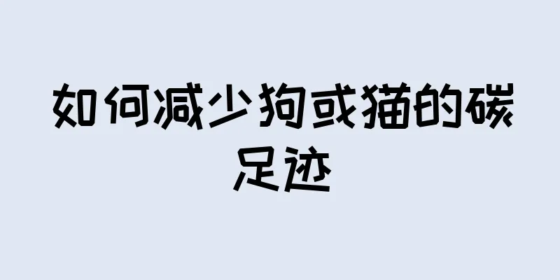 如何减少狗或猫的碳足迹