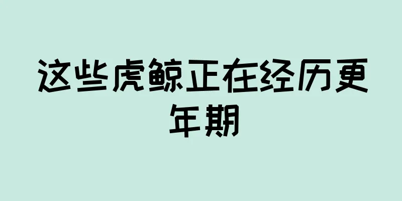 这些虎鲸正在经历更年期