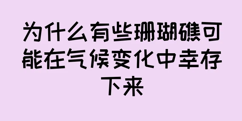 为什么有些珊瑚礁可能在气候变化中幸存下来