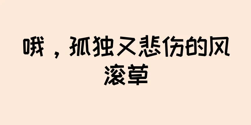 哦，孤独又悲伤的风滚草