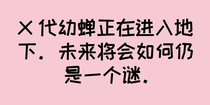 X 代幼蝉正在进入地下。未来将会如何仍是一个谜。