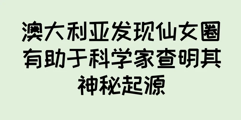 澳大利亚发现仙女圈有助于科学家查明其神秘起源