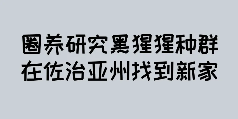 圈养研究黑猩猩种群在佐治亚州找到新家