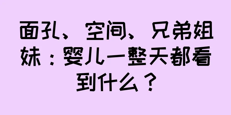 面孔、空间、兄弟姐妹：婴儿一整天都看到什么？