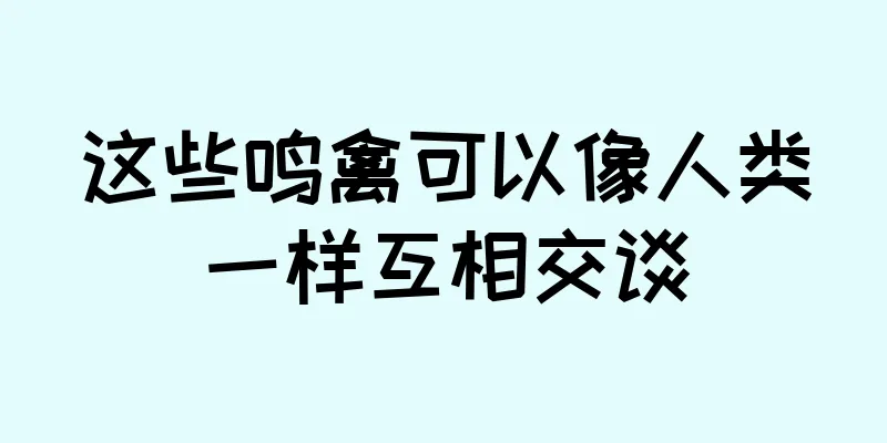 这些鸣禽可以像人类一样互相交谈
