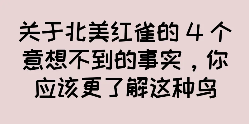 关于北美红雀的 4 个意想不到的事实，你应该更了解这种鸟