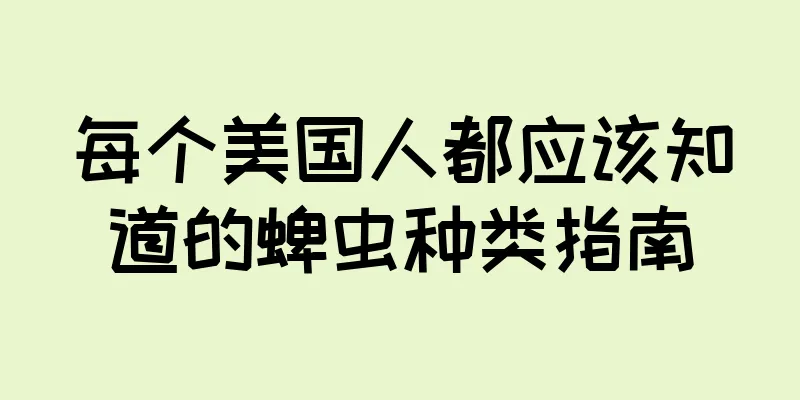 每个美国人都应该知道的蜱虫种类指南