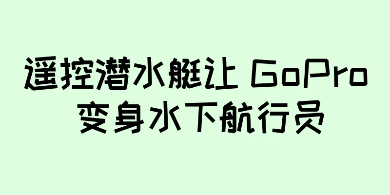 遥控潜水艇让 GoPro 变身水下航行员