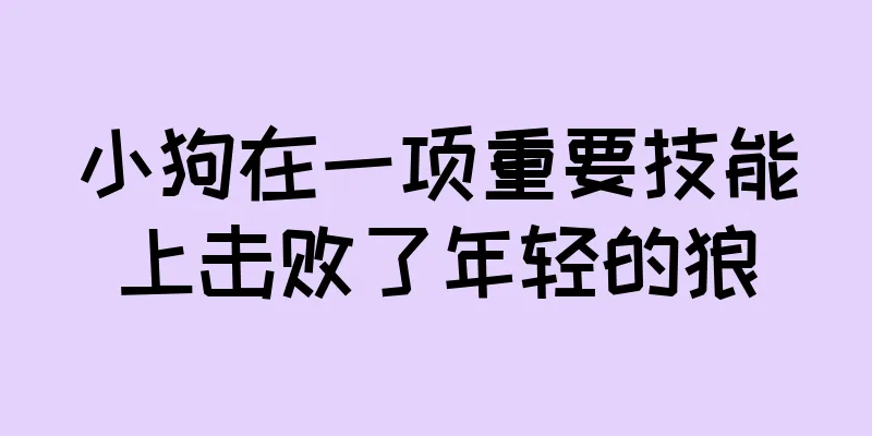 小狗在一项重要技能上击败了年轻的狼