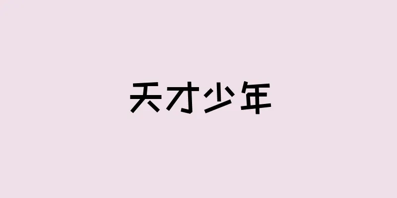 天才少年
