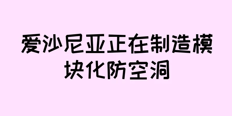 爱沙尼亚正在制造模块化防空洞