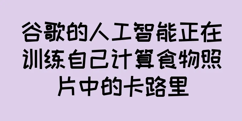 谷歌的人工智能正在训练自己计算食物照片中的卡路里