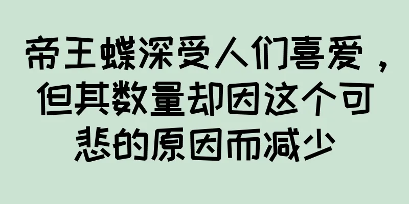 帝王蝶深受人们喜爱，但其数量却因这个可悲的原因而减少