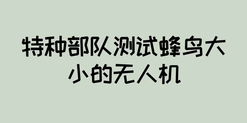 特种部队测试蜂鸟大小的无人机