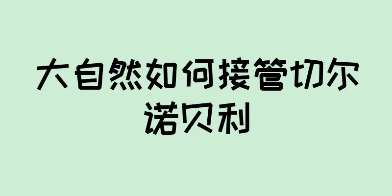 大自然如何接管切尔诺贝利
