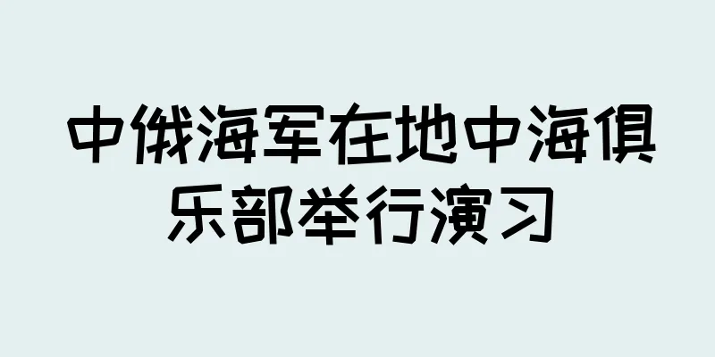 中俄海军在地中海俱乐部举行演习