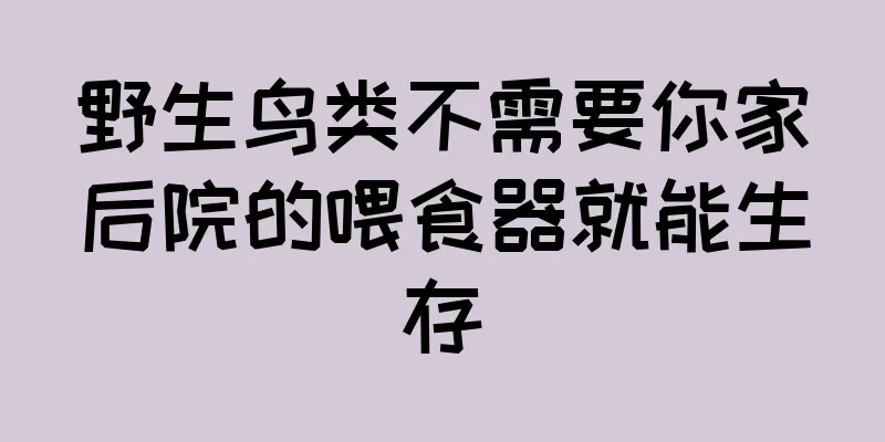 野生鸟类不需要你家后院的喂食器就能生存