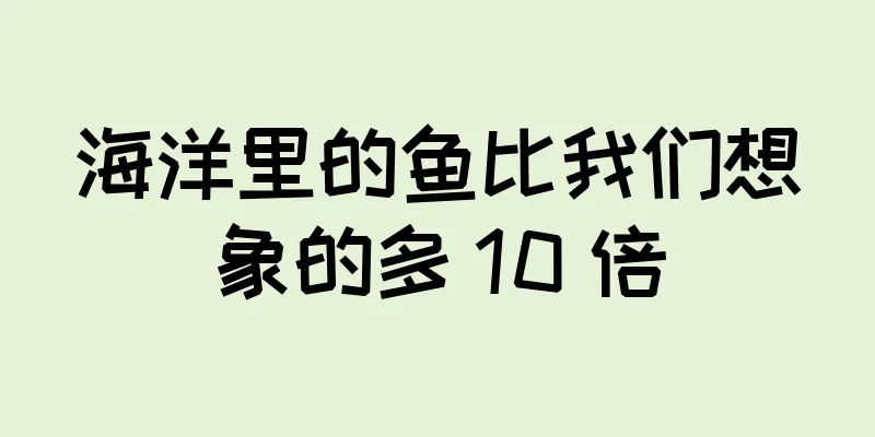 海洋里的鱼比我们想象的多 10 倍