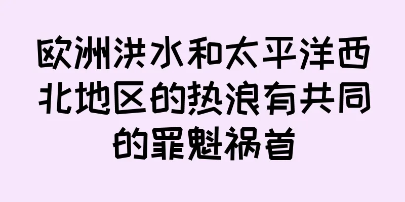 欧洲洪水和太平洋西北地区的热浪有共同的罪魁祸首