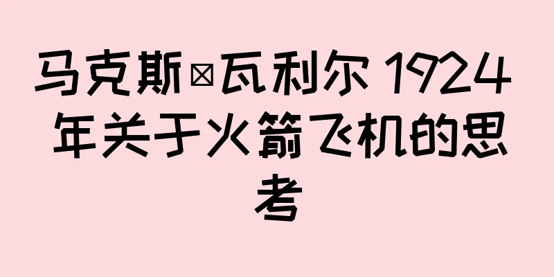 马克斯·瓦利尔 1924 年关于火箭飞机的思考