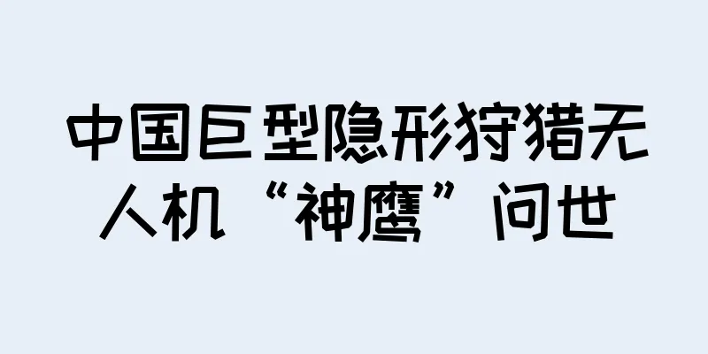 中国巨型隐形狩猎无人机“神鹰”问世