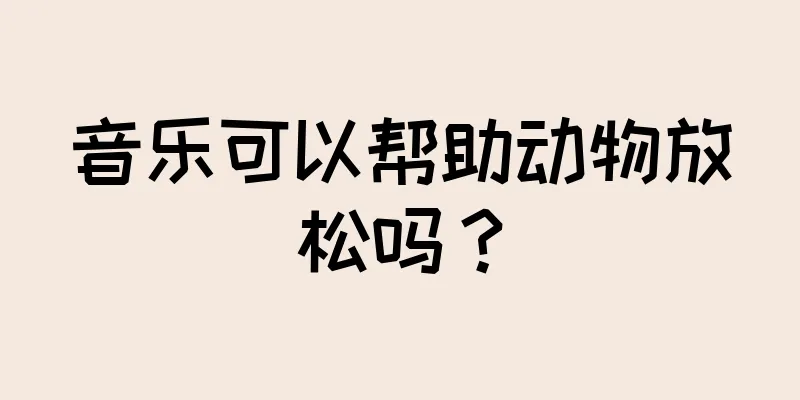 音乐可以帮助动物放松吗？