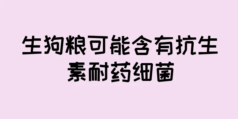 生狗粮可能含有抗生素耐药细菌