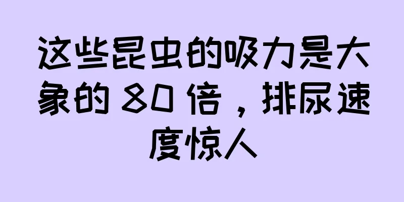这些昆虫的吸力是大象的 80 倍，排尿速度惊人