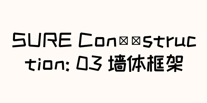 SURE Con​​struction: 03 墙体框架
