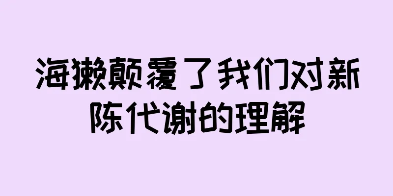 海獭颠覆了我们对新陈代谢的理解