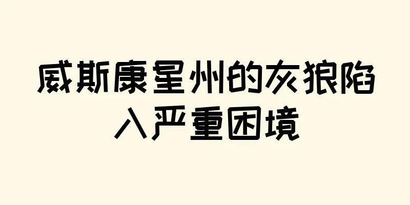 威斯康星州的灰狼陷入严重困境