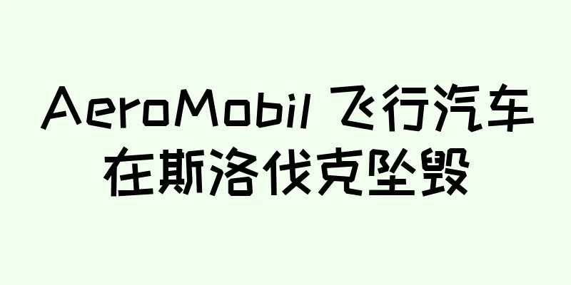 AeroMobil 飞行汽车在斯洛伐克坠毁