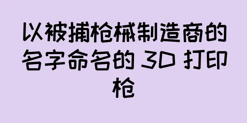 以被捕枪械制造商的名字命名的 3D 打印枪