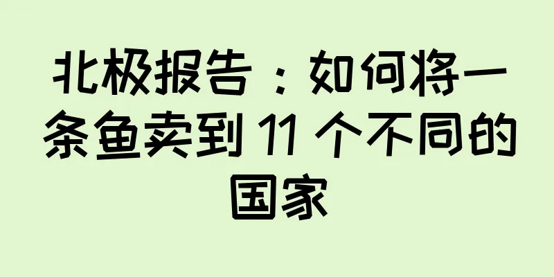北极报告：如何将一条鱼卖到 11 个不同的国家