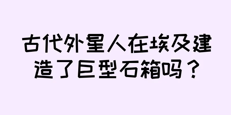 古代外星人在埃及建造了巨型石箱吗？