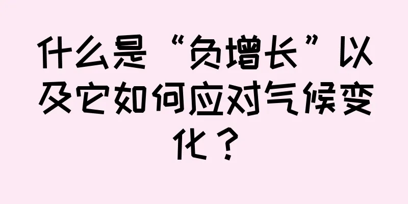 什么是“负增长”以及它如何应对气候变化？