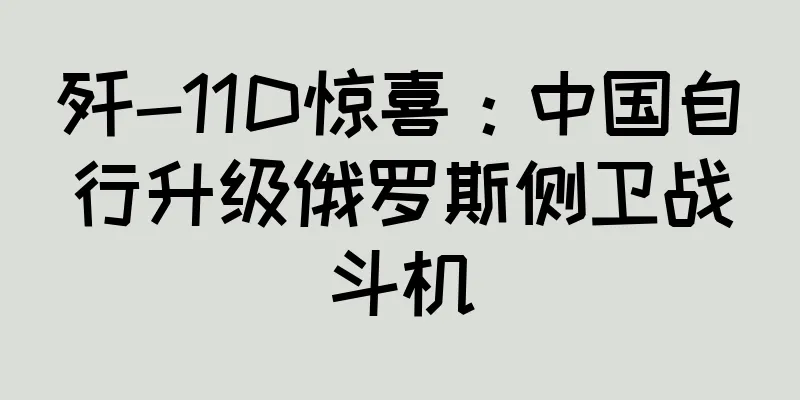 歼-11D惊喜：中国自行升级俄罗斯侧卫战斗机