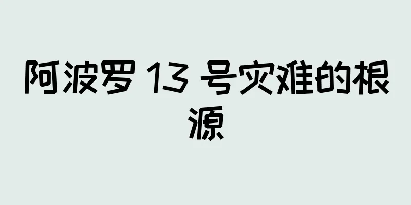 阿波罗 13 号灾难的根源