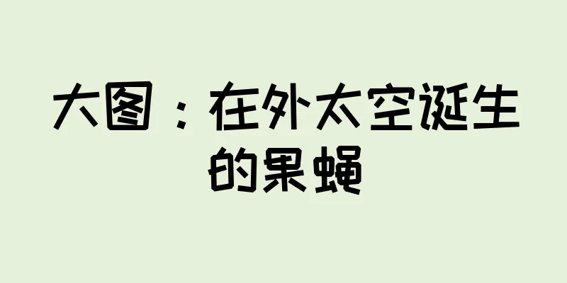大图：在外太空诞生的果蝇