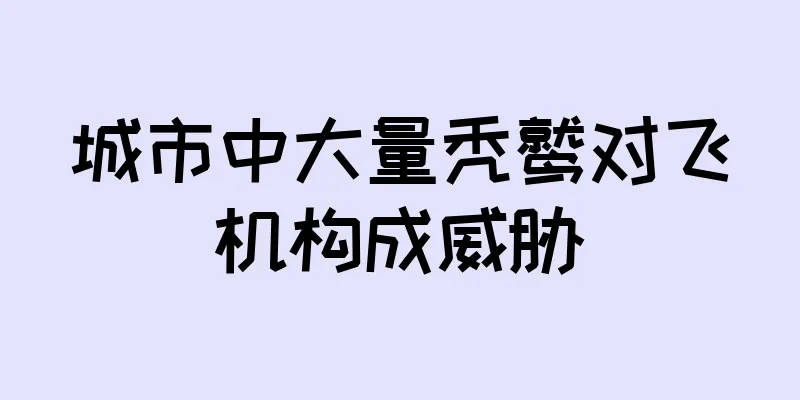 城市中大量秃鹫对飞机构成威胁