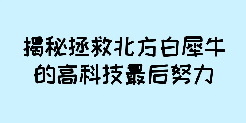 揭秘拯救北方白犀牛的高科技最后努力