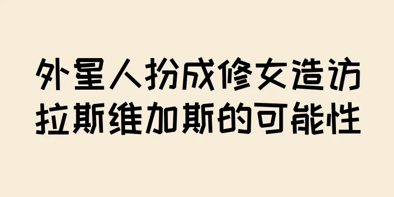 外星人扮成修女造访拉斯维加斯的可能性