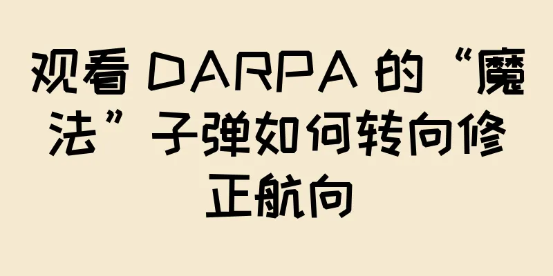 观看 DARPA 的“魔法”子弹如何转向修正航向